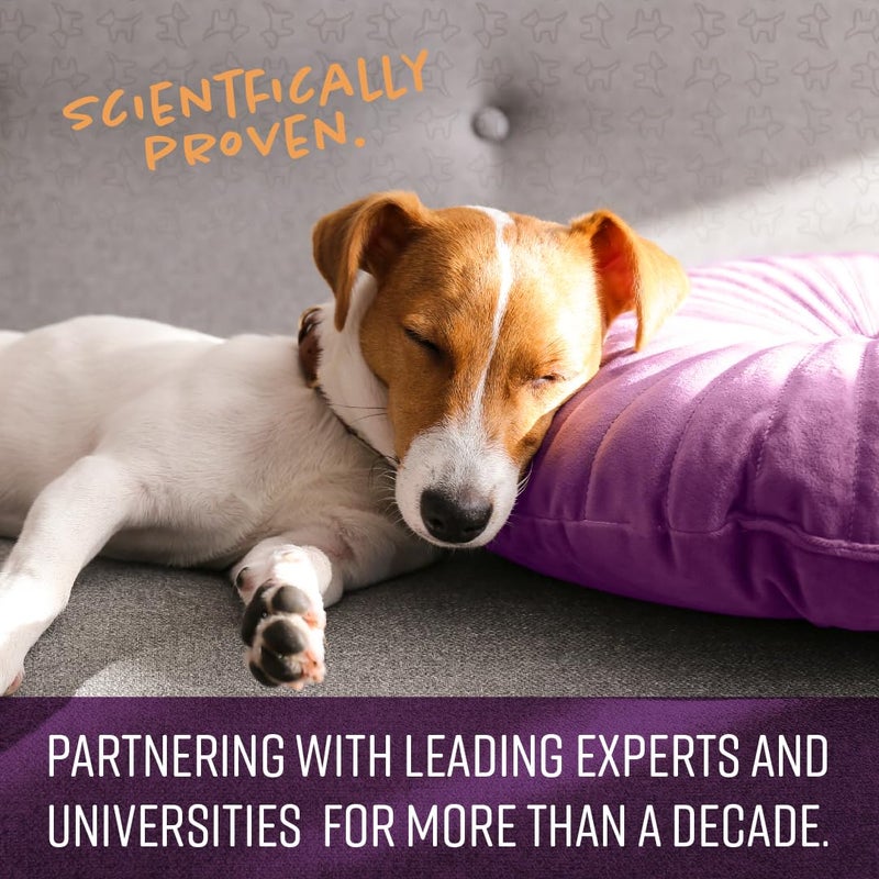 Sentry Calming Chews for Dogs, Calming Aid Helps to Manage Stress & Anxiety, with Pheromones That May Help Curb Destructive Behavior & Separation Anxiety, Health Supplement for Dogs, 60 Count - Image 2